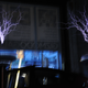 Image for article titled D300s Sample Photos